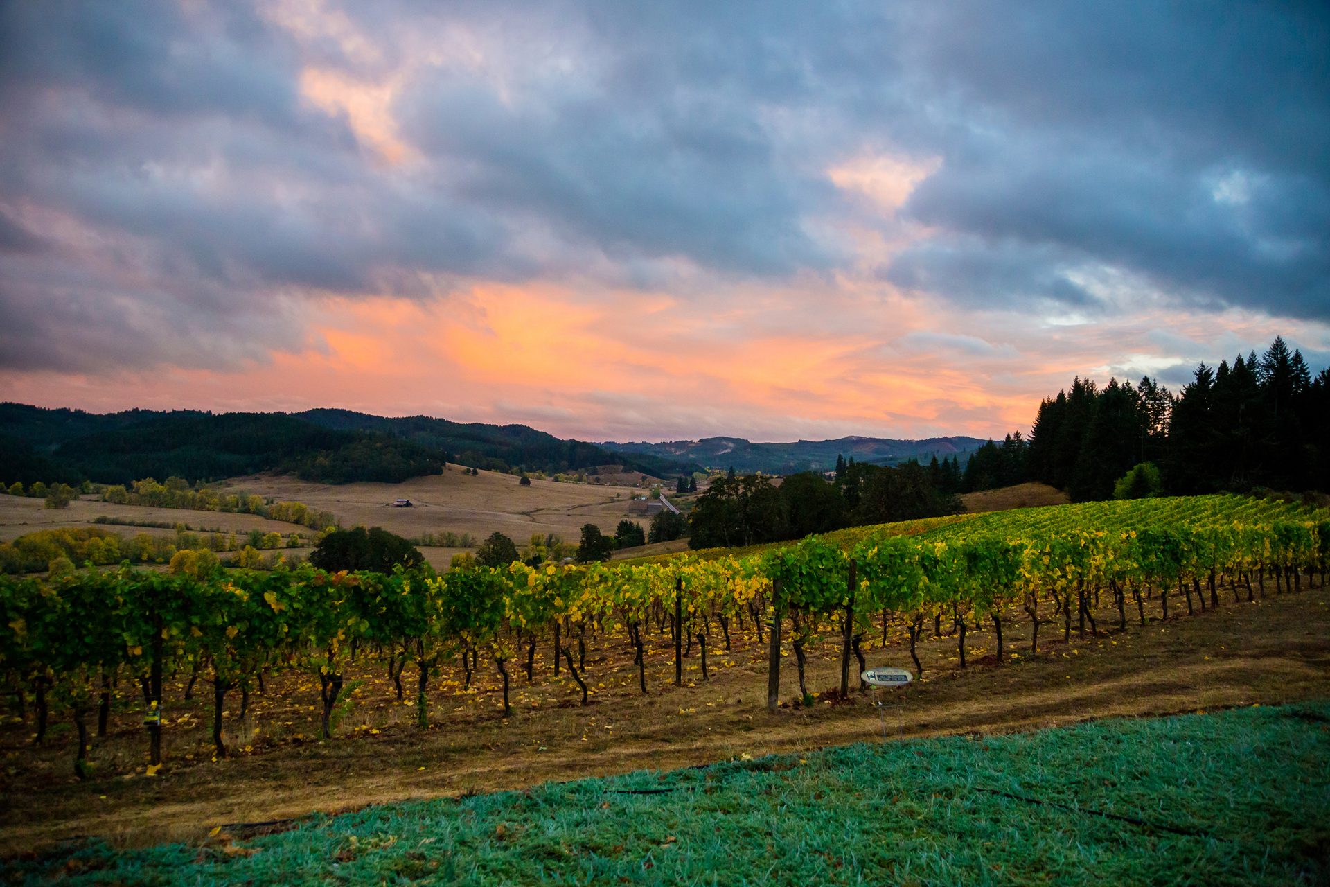 Brand New Homes in Medford, OR Cedar Landing